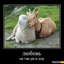 ���� �����, ������� - ��������� 10 ������� 2014 � ������ ������ ��������