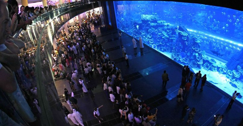   - "Dubai Mall Aquarium",  (). "Dubai Mall ...