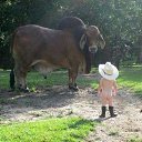 ���� ������, ��������, 61 ��� - ��������� 12 �������� 2014 � ������ ������ ��������