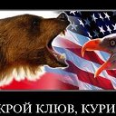 ���� ��������, �������������, 51 ��� - ��������� 29 �������� 2014 � ������ ������ ��������