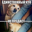 ���� ������, ������� - ��������� 23 ������ 2014 � ������ ���� ����������
