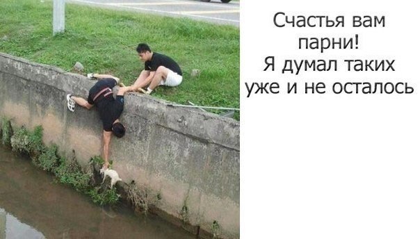 ,    - 11  2014  16:43