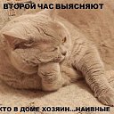 ���� O.l., �����, 59 ��� - ��������� 7 ������� 2014 � ������ �������