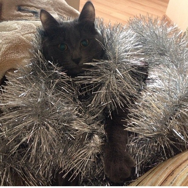 ��� �������? � �������.