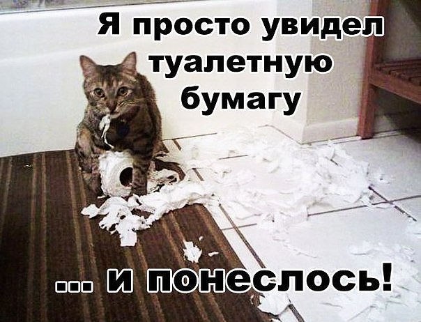 Наши любимцы :3 - 30 октября 2014 в 14:21