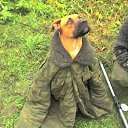 ���� ������, ������, 57 ��� - ��������� 28 �������� 2014 � ������ ���� ����������