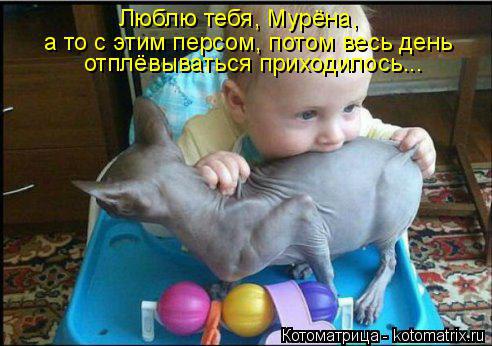 /zev/null - 29  2014  14:43
