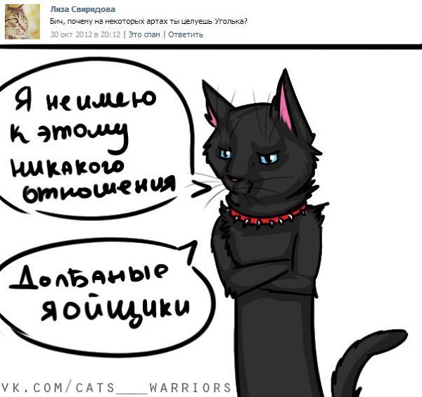 Коты воители приколы картинки