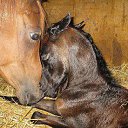 ���� �������, �������� - ��������� 24 ������� 2014 � ������ ���� ����������