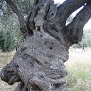 ���� Isabelle, ��������� - ��������� 22 ������ 2014 � ������ �Greece�