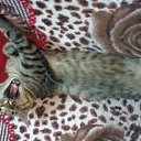 ���� ������ �������, ��������, 47 ��� - ��������� 22 �������� 2014 � ������ ���� ������