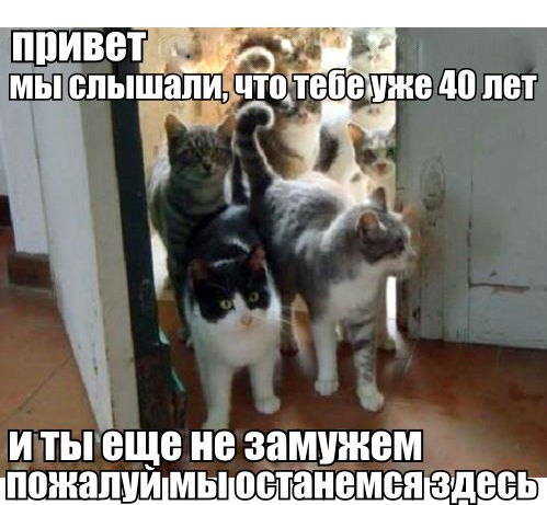 - 11  2014  19:53