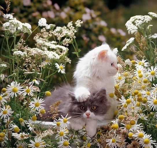       - 17  2014  05:01 - 5