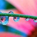 ���� �����, ������, 105 ��� - ��������� 18 ������ 2014 � ������ ������ ��������