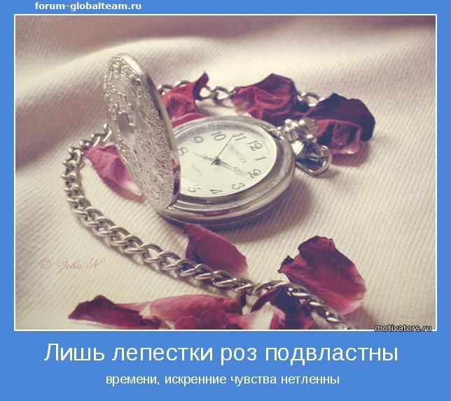  - 18  2014  19:28