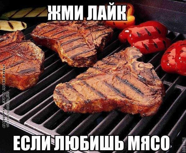  -   - 8  2014  11:38