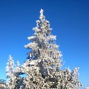 ���. �������� (����������). � ��������� ������ �� ������� �������