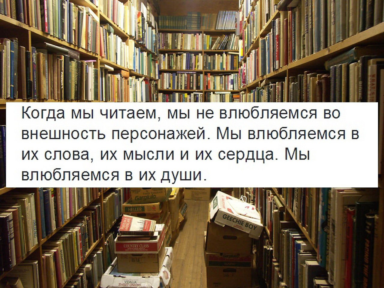 Как полюбить чтение. Как полюбить читать книги.