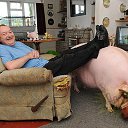 ���� �����, ������ - ��������� 25 ������� 2014 � ������ ���� ����������