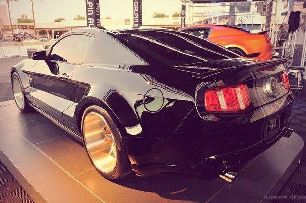 Ford Mustang Shelby GT500 - 7