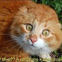 ���� O.l., �����, 59 ��� - ��������� 7 ������� 2014 � ������ �������