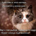 ���� �������, ��������-��-������, 48 ��� - ��������� 10 ������ 2014 � ������ ������ ��������