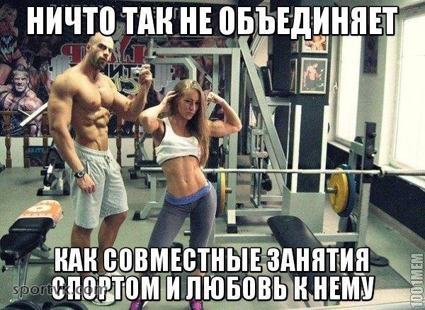  -   - 13  2014  02:52