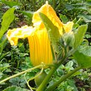 ���� Nadezhda, ����������, 66 ��� - ��������� 27 ������� 2014 � ������ ������ ��������