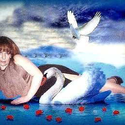 ���� ��������, �������, 50 ��� - ��������� 3 ������� 2014