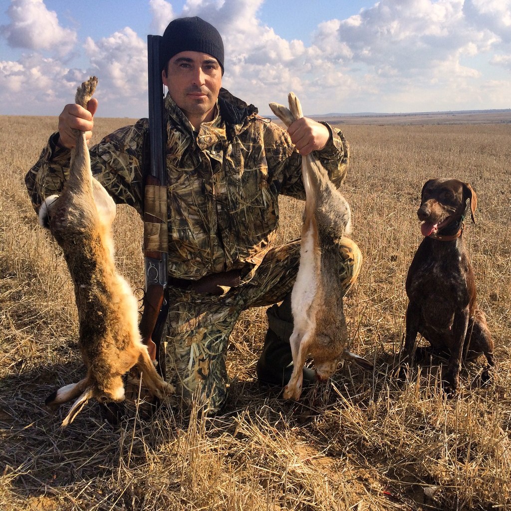 ����� ������� - 5 ������ 2014 � 14:03 - 3