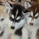 ������� � ������� ����� ����� ))))
 �� ������� ���� ������� ����