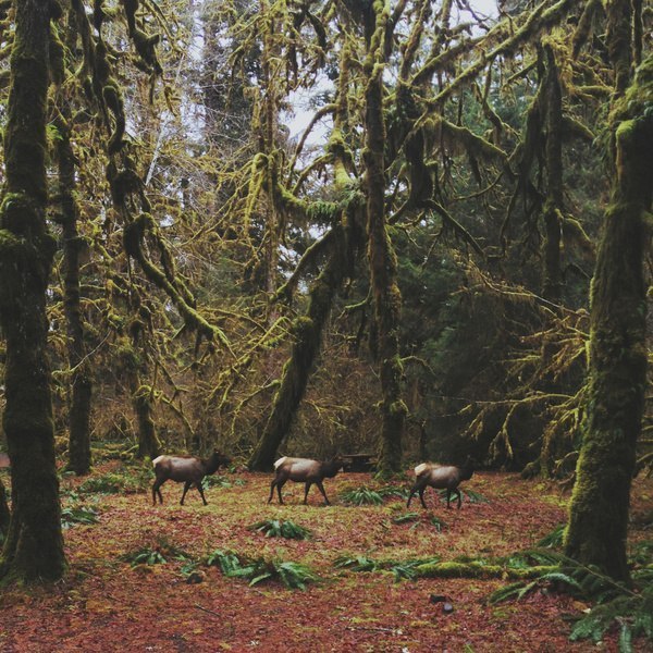  Kevin Russ - 5