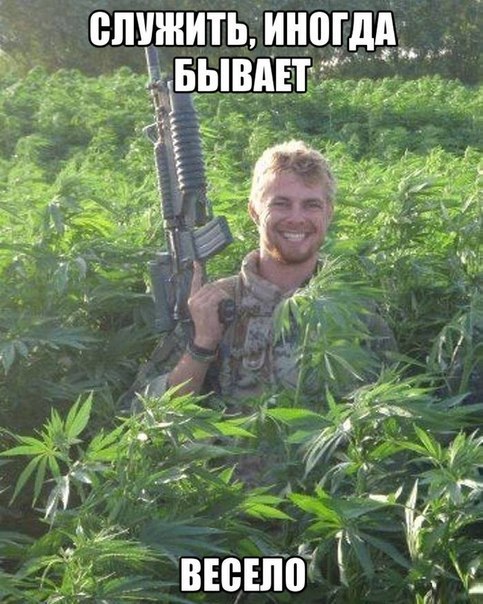    :-) - 4  2014  23:03