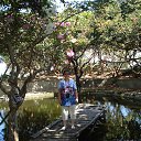 ���� ������, ������ - ��������� 3 ������� 2014 � ������ ���� ����������