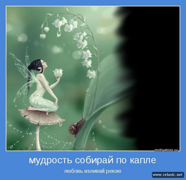  - 8  2014  14:22