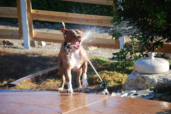  :   .           ... - 14