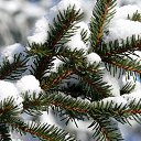 ���� �����, ������ - ��������� 9 ������� 2014 � ������ ���� ����������