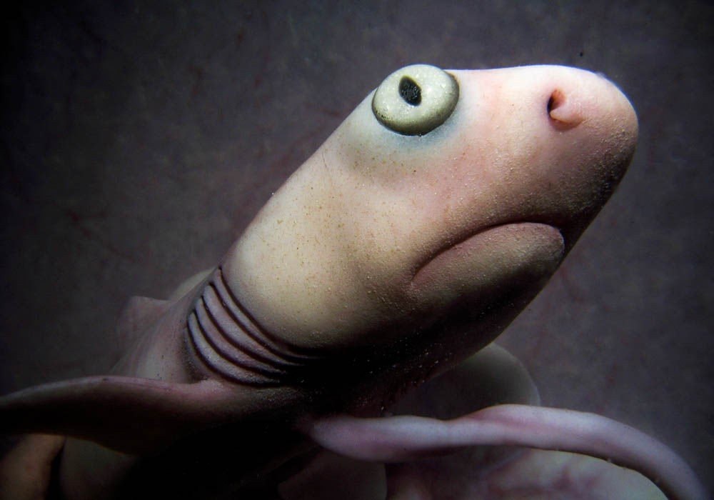  . National Geographic       ... - 3