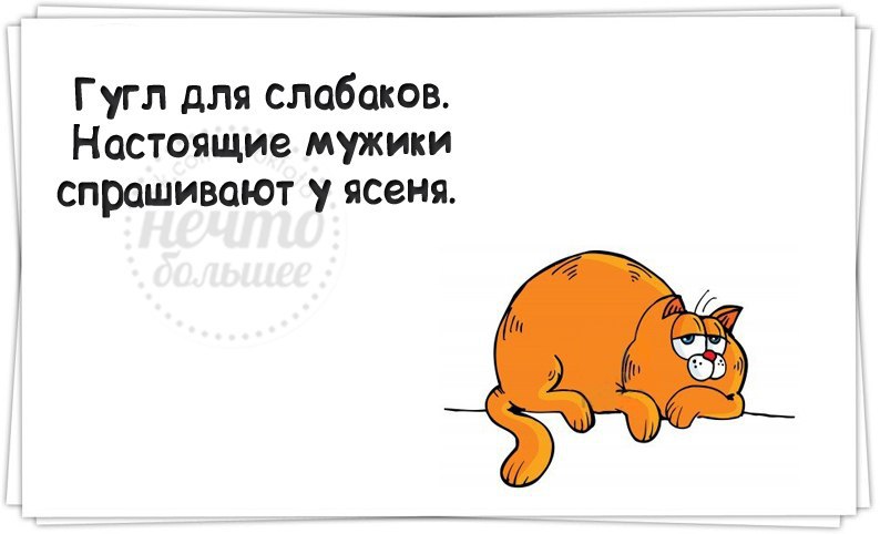   - 24  2014  13:41
