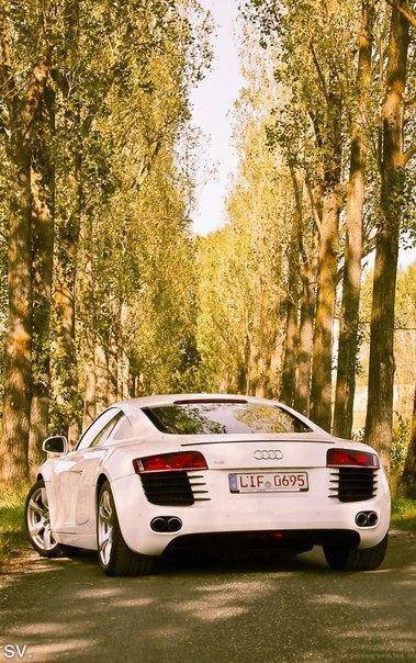 All White Audi R8. - 4