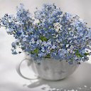���� �����, ������ - ��������� 17 ������� 2014 � ������ �flowers�