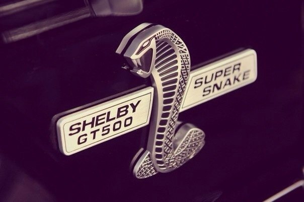 Ford Shelby GT500 Super Snake - 6