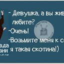 ���� �������, �����-���������, 38 ��� - ��������� 26 ������� 2014 � ������ ������ ��������
