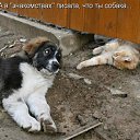 ���� �������, ������, 51 ��� - ��������� 31 ������� 2014 � ������ ������ ��������