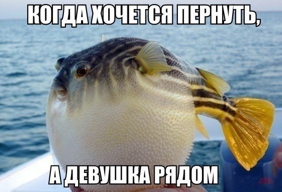    :D - 20  2014  19:10
