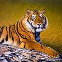 ���� ��������, ���������, 65 ��� - ��������� 3 �������� 2014 � ������ ���� ����������