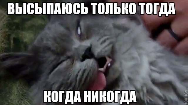    :D - 5  2014  13:05