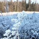  , , 50  -  10  2014   û