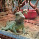 ���� ������, ������, 54 ���� - ��������� 8 �������� 2014 � ������ ��������