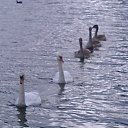 ���� Pavel, ������� ��������, 68 ��� - ��������� 19 ������� 2014 � ������ ���� ����������